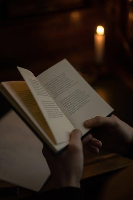 the dark manual book