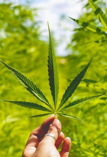 peterson field guides medicinal plants and herbs